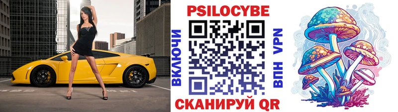 Купить где  Владимир  Псилоцибиновые грибы Psilocybe 