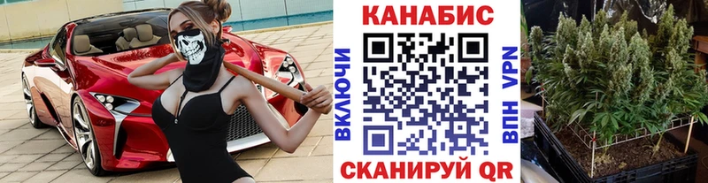 Купить закладки  Владимир  Конопля White Widow 